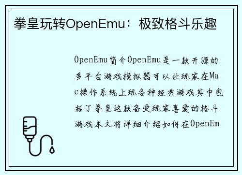 拳皇玩转OpenEmu：极致格斗乐趣